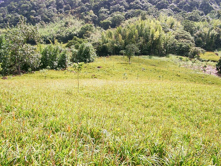 赤柯山 攝影：Eva隨手拍