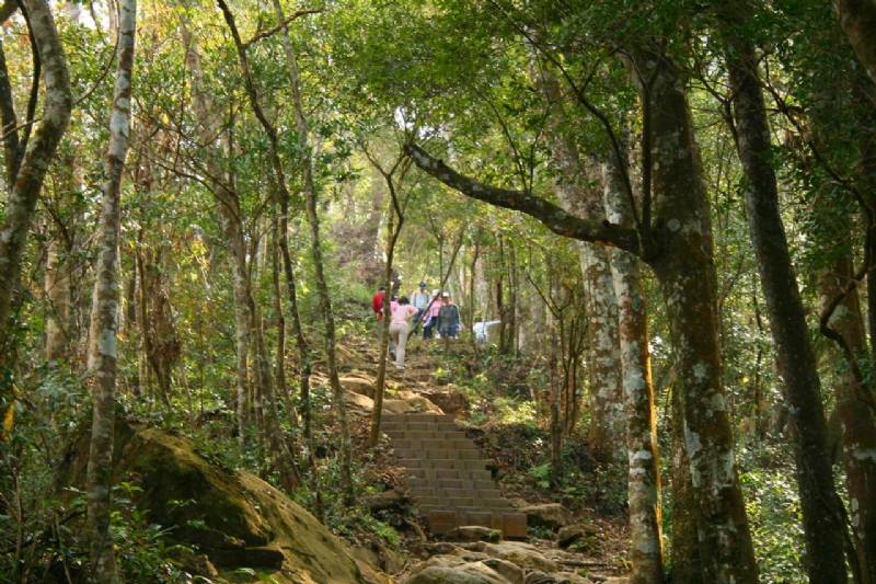 山脊闊葉林 攝影：老山羊部落格