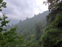 棲蘭神木園<br/> 攝影：陳皮梅