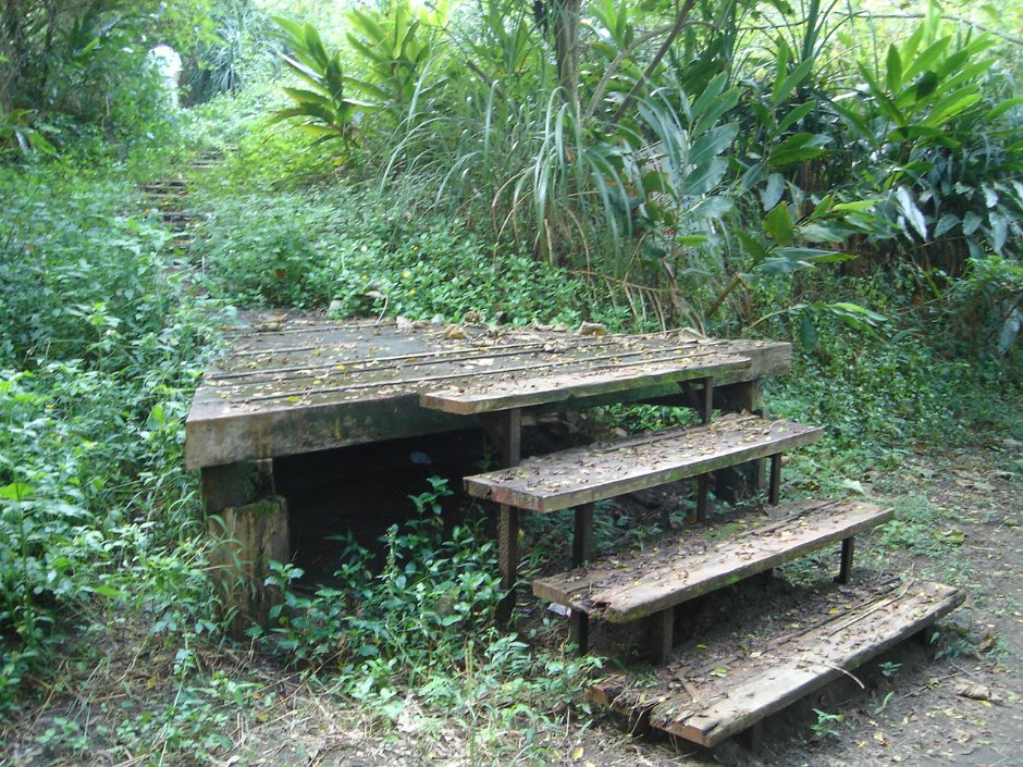 步道 攝影：余燕鳳
