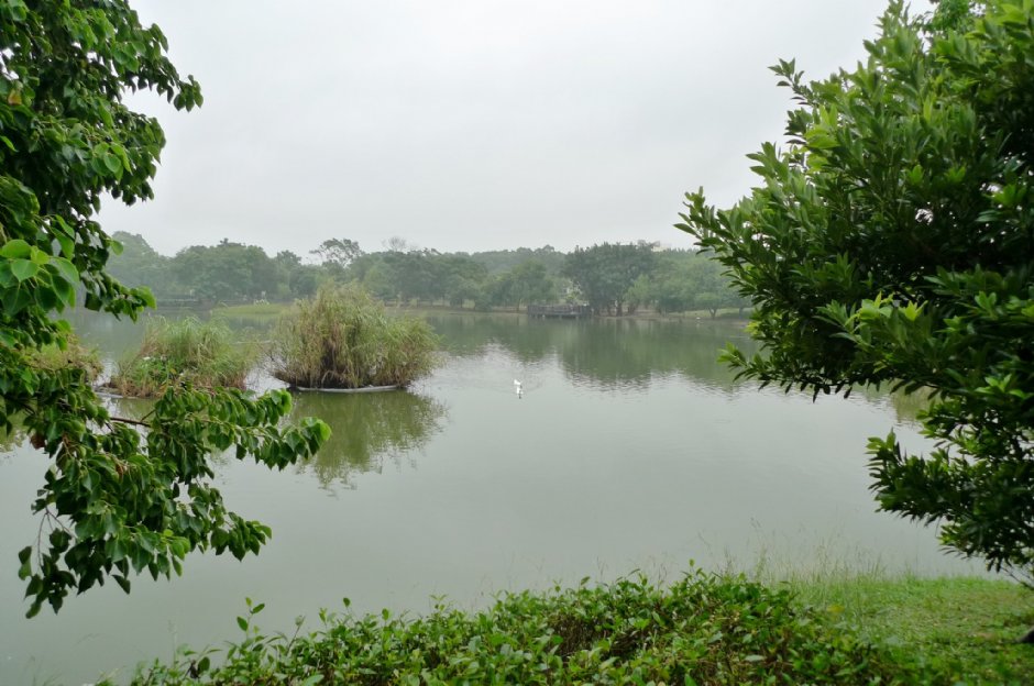 八德埤塘生態公園 攝影：Eva隨手拍