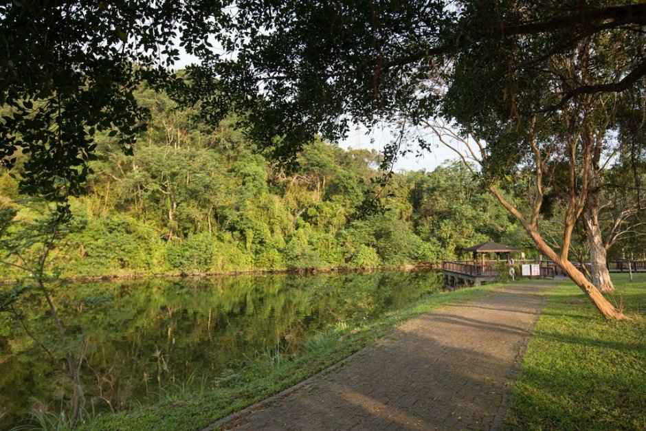 公園步道 攝影：桃園市政府觀光旅遊局 提供