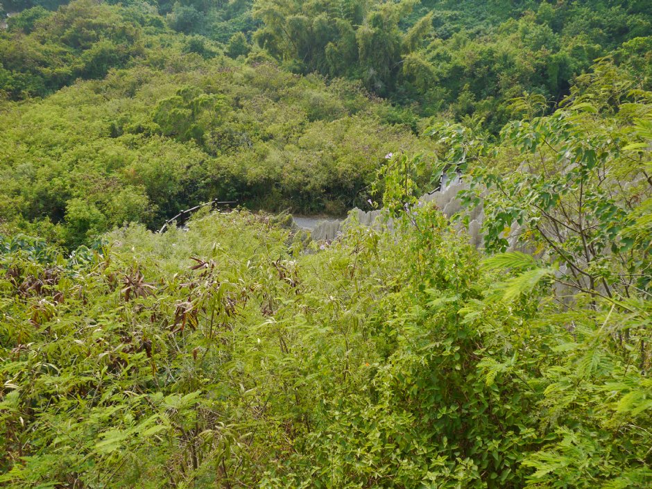 漯底山自然公園 攝影：三井