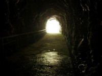 白楊步道<br/> 攝影：Eva隨手拍