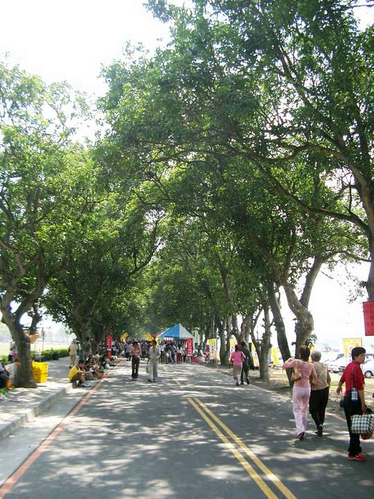 古坑綠色隧道 攝影：Eva隨手拍