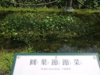 原生植物園<br/> 攝影：三井