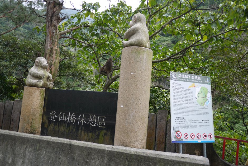 登仙橋休憩區 攝影：旅遊王攝影組