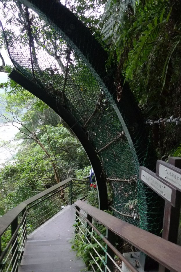 小錐麓步道 攝影：Eva隨手拍