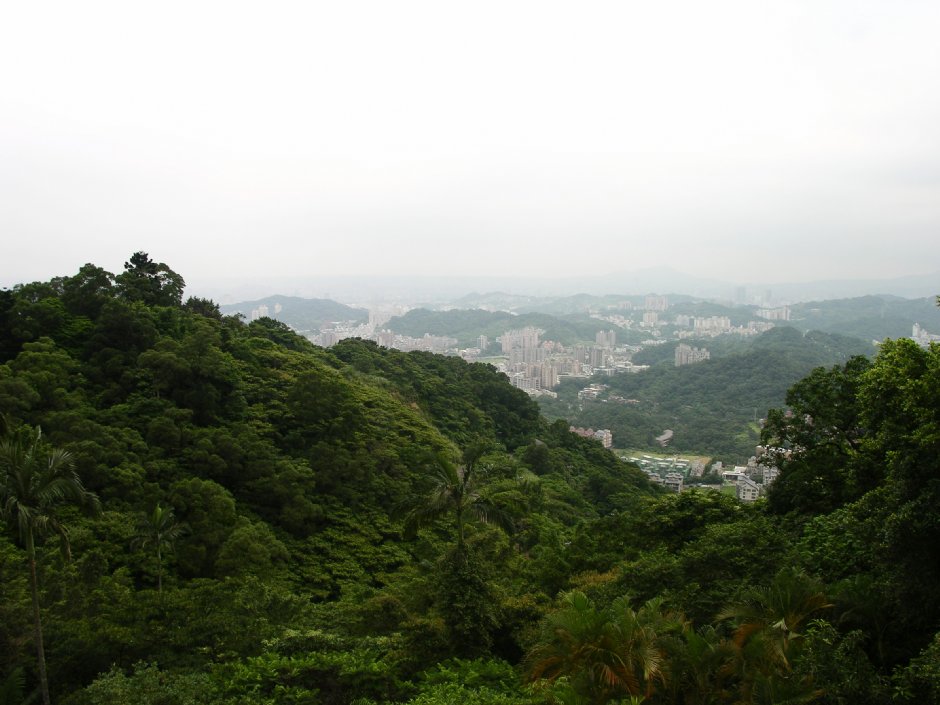 俯瞰台北盆地 攝影：林夢真
