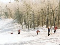 亞布力<br/> 攝影：四川旅遊信息網