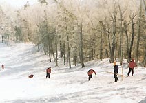 亞布力 攝影：四川旅遊信息網