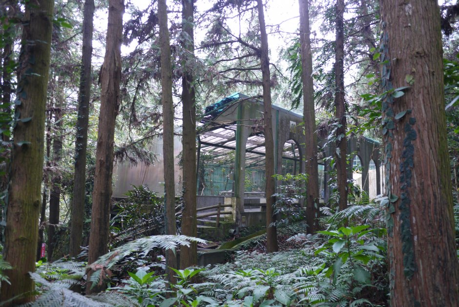 鳳凰谷梅鶯園 攝影：三井