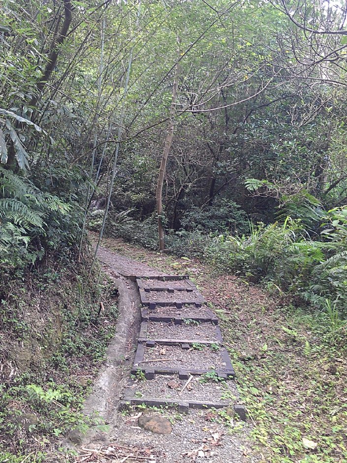 富民親水公園 攝影：Eva隨手拍