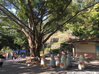 園區設施<br/> 攝影：mylovefamily.tw 提供