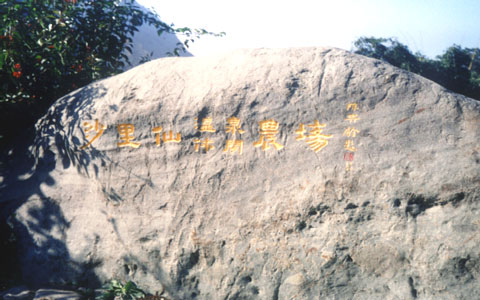 沙里仙溫泉農場一景 攝影：南投縣政府