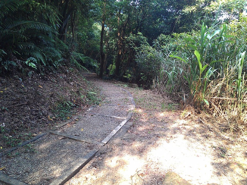 富民親水公園 攝影：Eva隨手拍