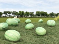 埤頭繪本公園<br/> 攝影：Jen