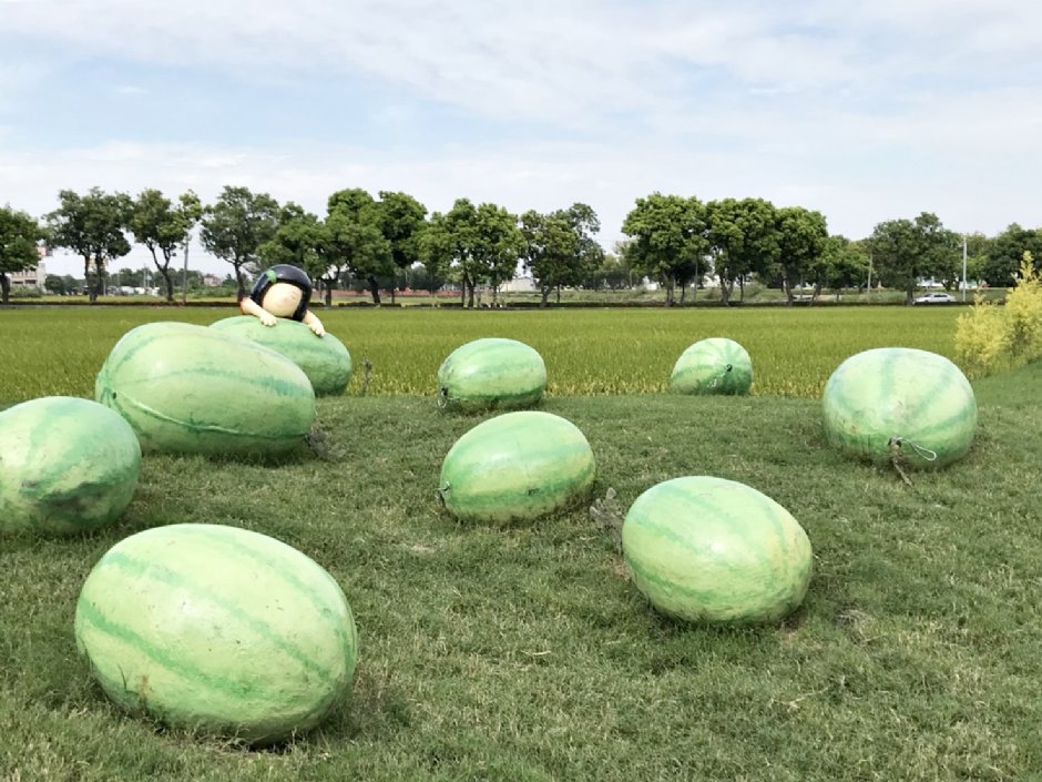 埤頭繪本公園 攝影：Jen