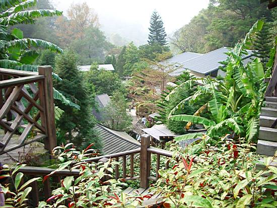 到處都是綠樹林 攝影：老山羊
