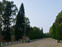 中山紀念林<br/> 攝影：Eva隨手拍