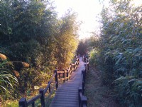 二延平步道<br/> 攝影：Lu