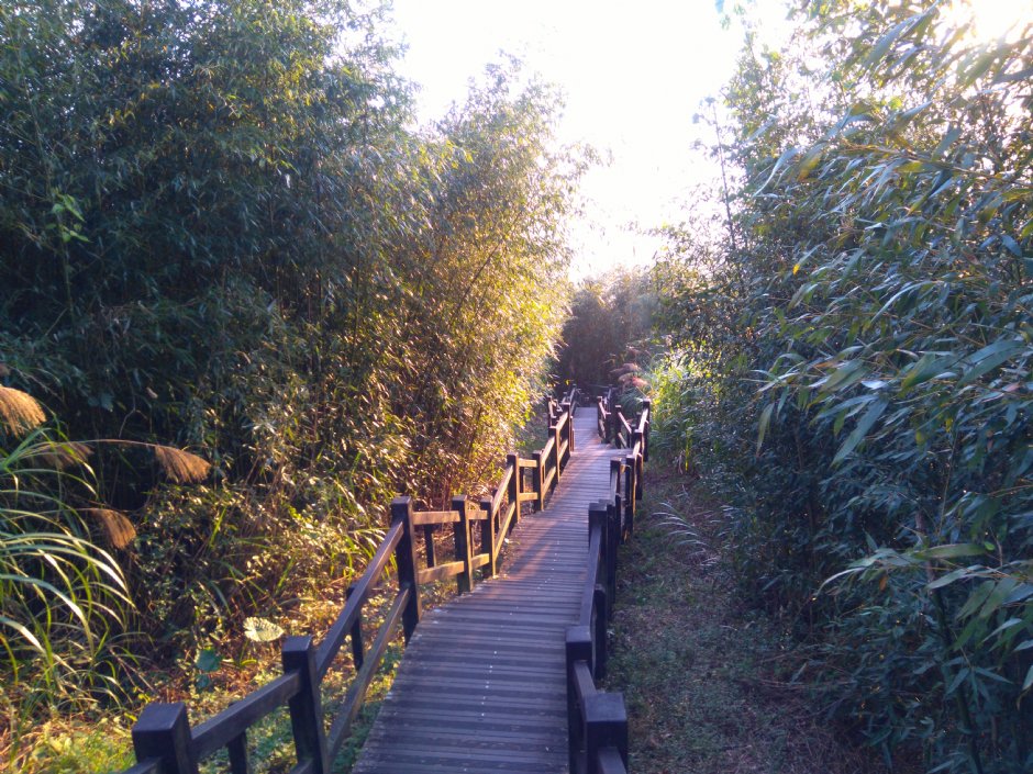 二延平步道 攝影：Lu