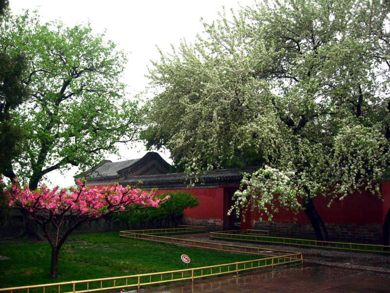 特色造園藝術 攝影：游芝榕