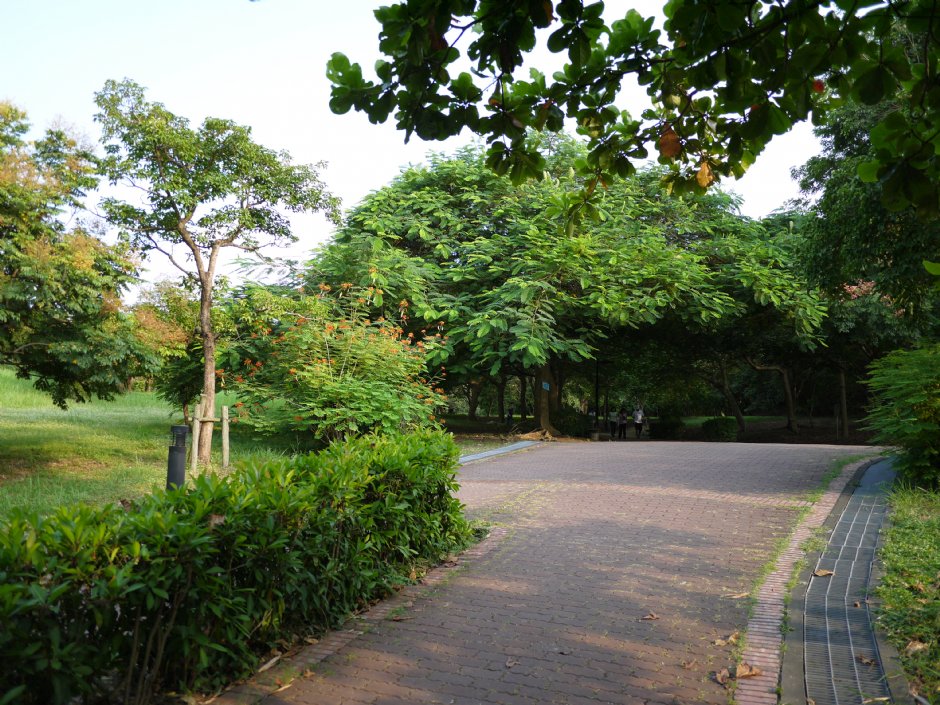 高雄都會公園 攝影：三個井