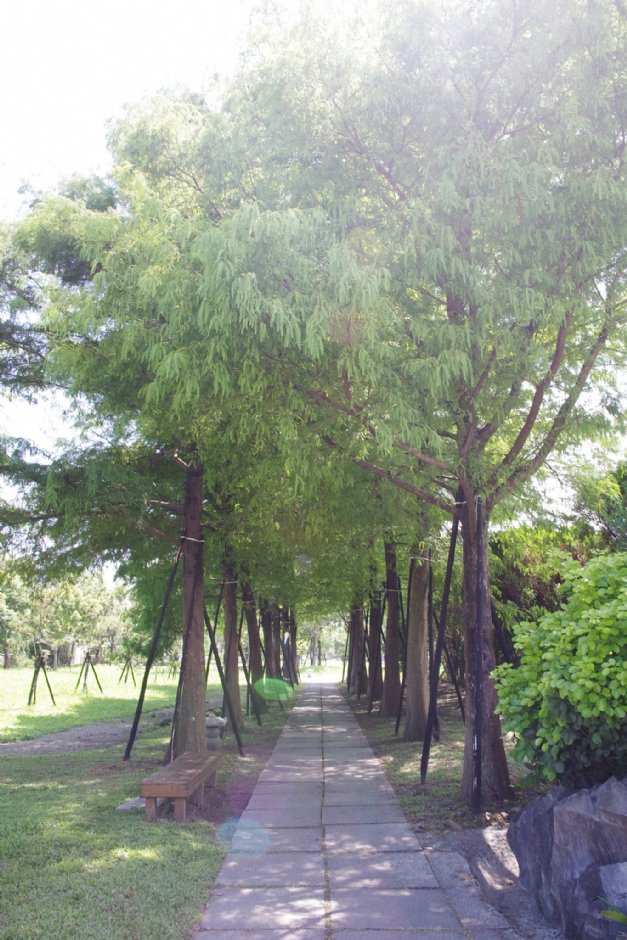 慈濟文化園區 攝影：Eva隨手拍