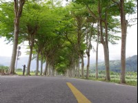 鹿野龍田自行車道<br/> 攝影：Eva隨手拍