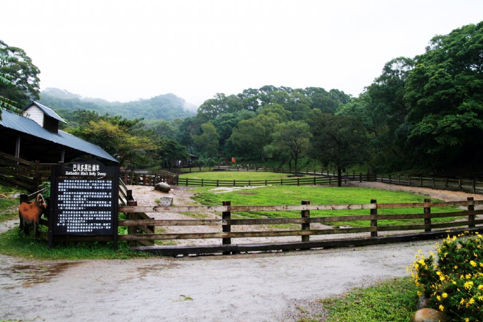 巴貝多黑肚綿羊生態區全景 攝影：陳銘祥