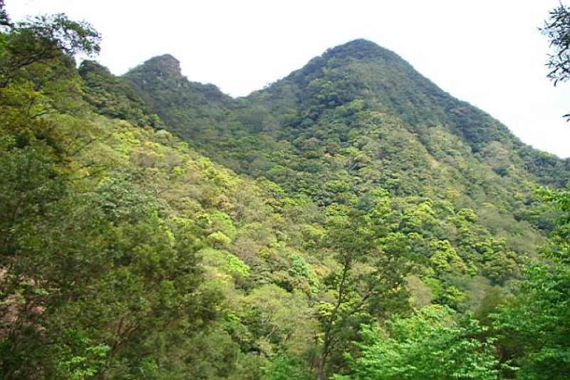 蒼翠山林 攝影：老山羊部落格