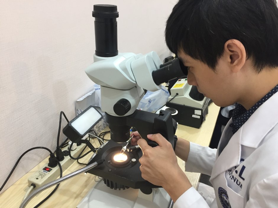 侏羅紀博物館 攝影：侏羅紀博物館