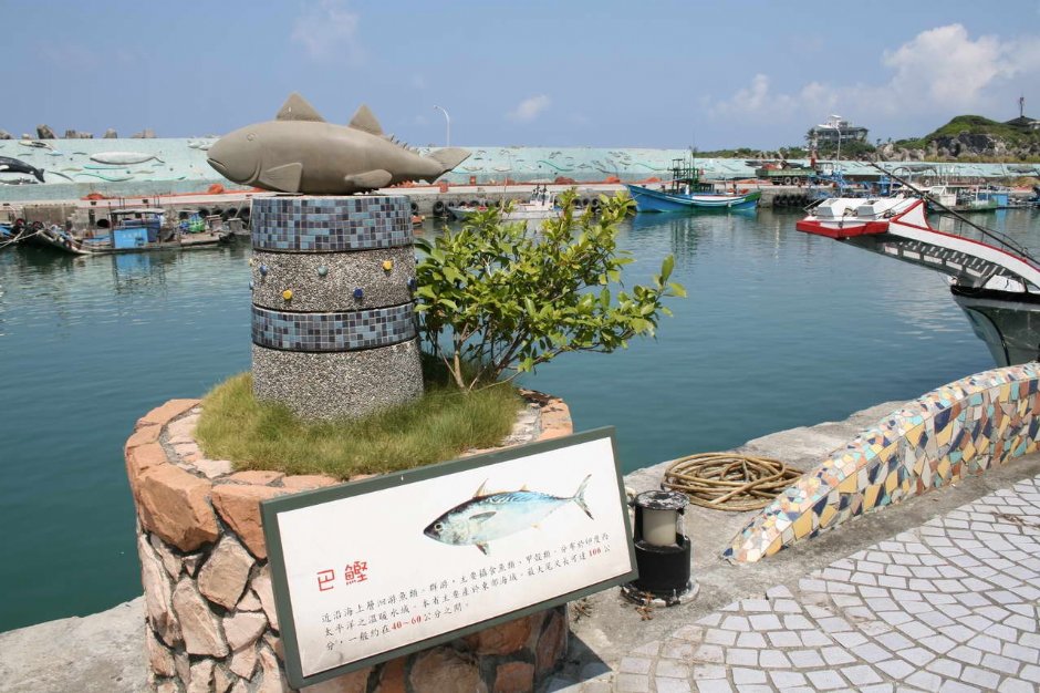 巴鰹 攝影：老山羊部落格