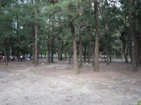 海濱秋茂園<br/> 攝影：三井