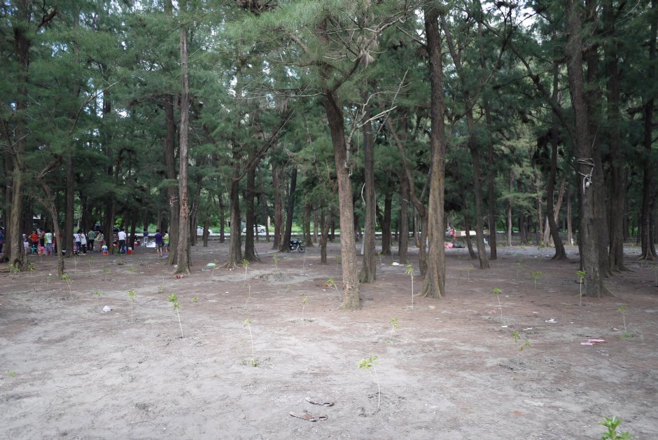 海濱秋茂園 攝影：三井