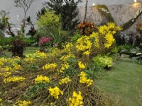 花博爭艷館-競花藝術(特展與花卉競賽)<br/> 攝影：amo