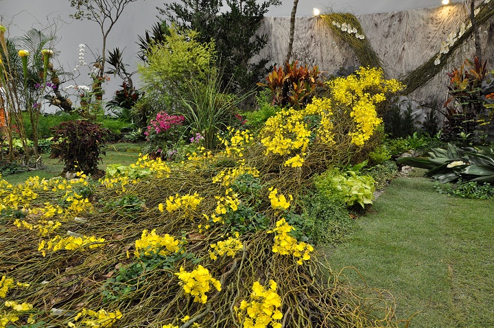 花博爭艷館-競花藝術(特展與花卉競賽) 攝影：amo