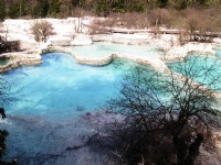 玲瓏剔透池水<br/> 攝影：余燕玉