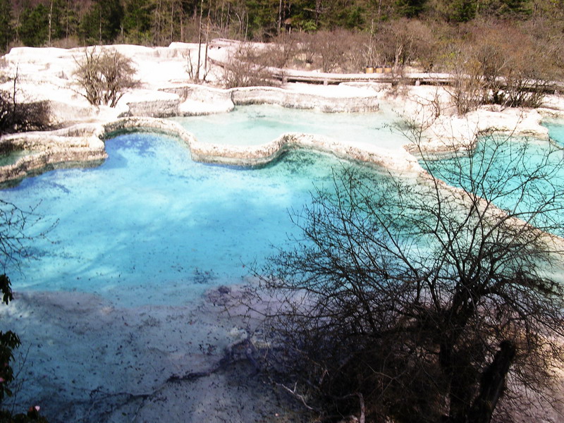 玲瓏剔透池水 攝影：余燕玉
