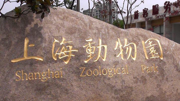 上海動物園 攝影：Crystal