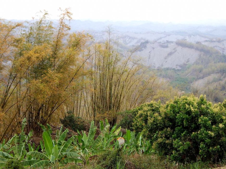 308高地奇景 攝影：老山羊資訊網