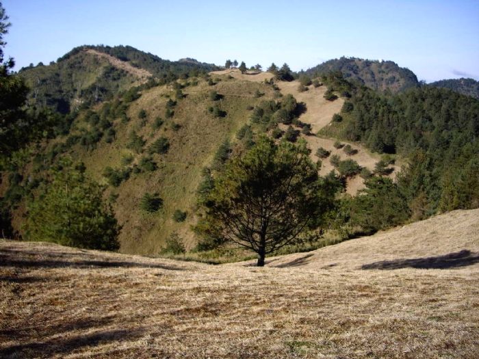 鹿林山 攝影：老山羊資訊網