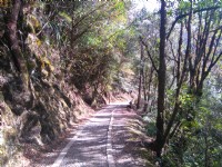 特富野古道<br/> 攝影：Lu