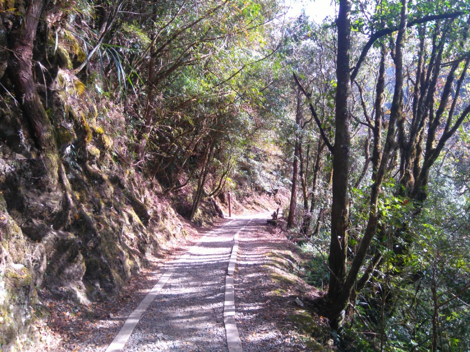 特富野古道 攝影：Lu