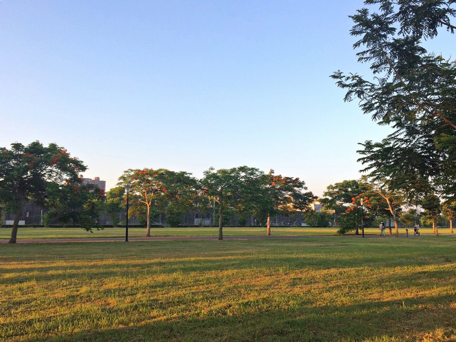 大漢溪河濱公園 攝影：Eva隨手拍