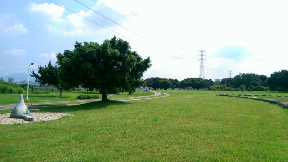 華江雁鴨自然公園 攝影：Eva隨手拍