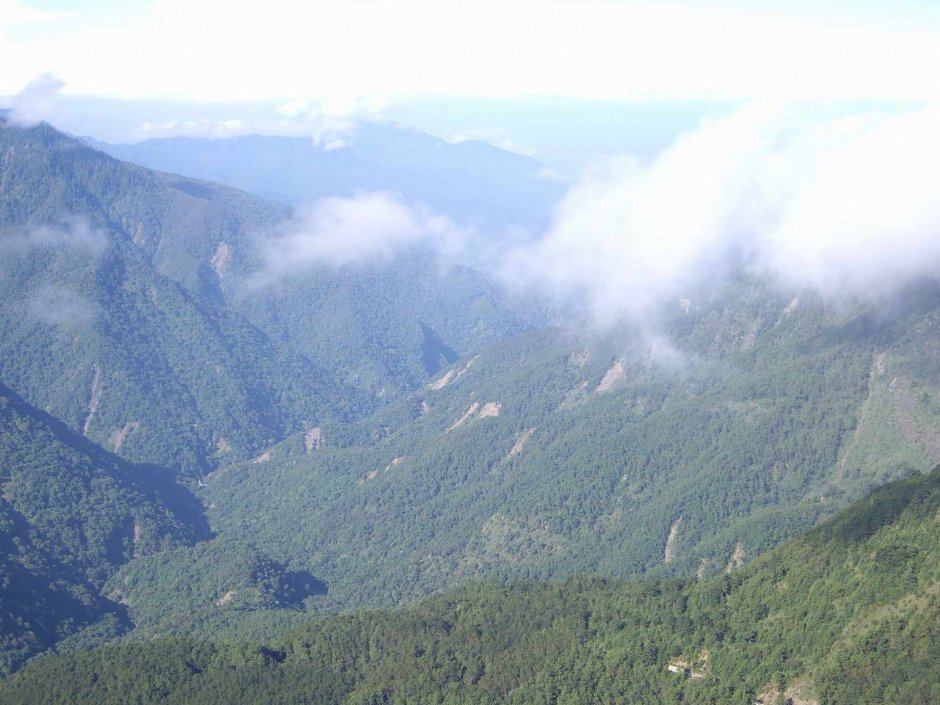 雲霧繚繞山頭 攝影：老山羊部落格