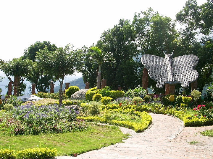 鬱金香花園 攝影：Eva隨手拍