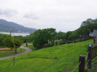 於和平公園眺望淡水河口<br/> 攝影：Eva隨手拍